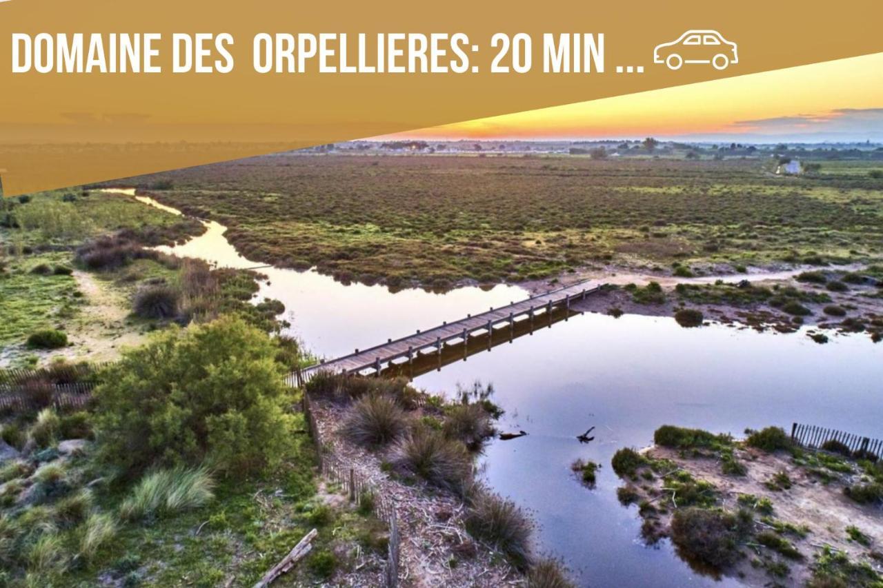 Centre Historique - Free Parking - Self Checkin - Wifi - Industriel - Sleepntripbeziers Apartment Екстериор снимка